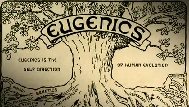 eugenics-tree
