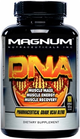 Magnum DNA